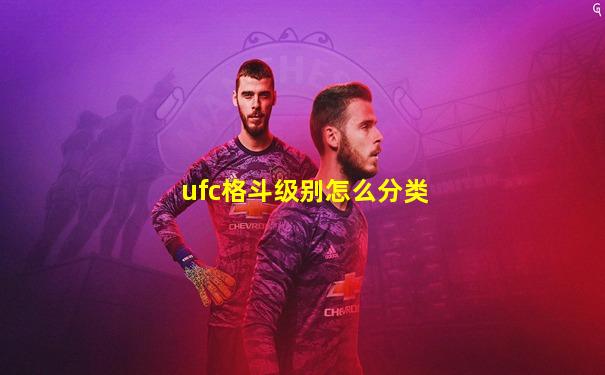 ufc格斗级别怎么分类
